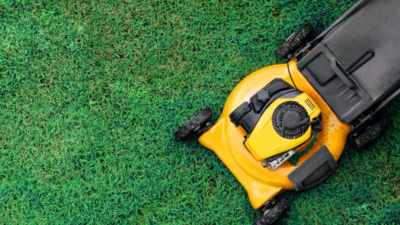 Lawn Care & Maintenance